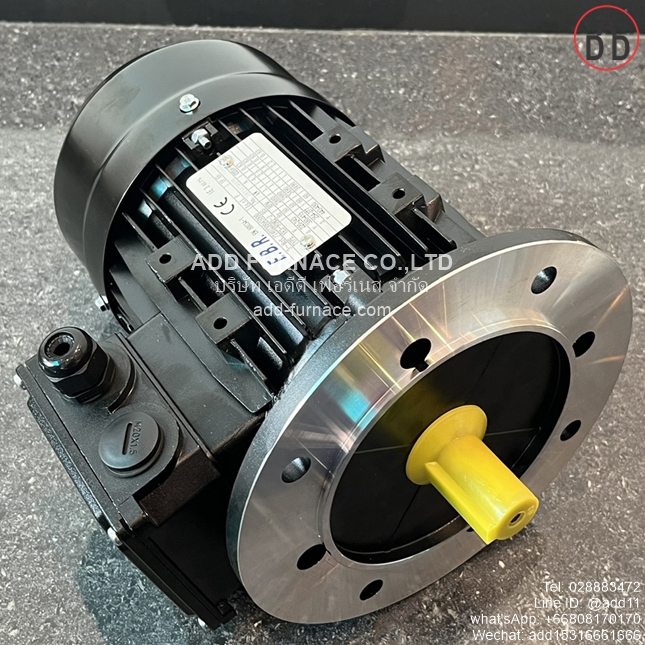 TYPE YE3-80M2-2 B5 (7)